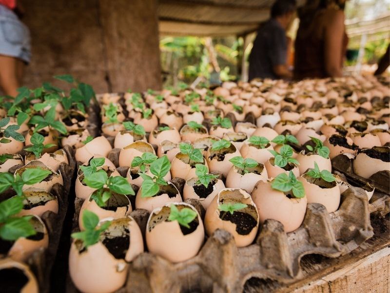 Sustainability at Ka'ana Resort